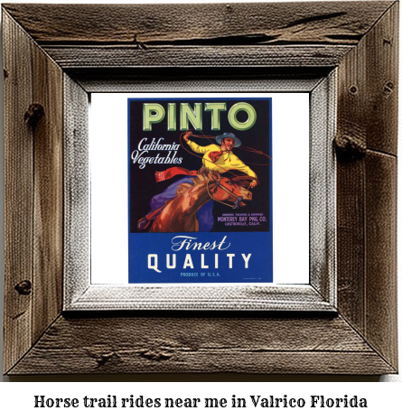 horse trail rides near me in Valrico, Florida